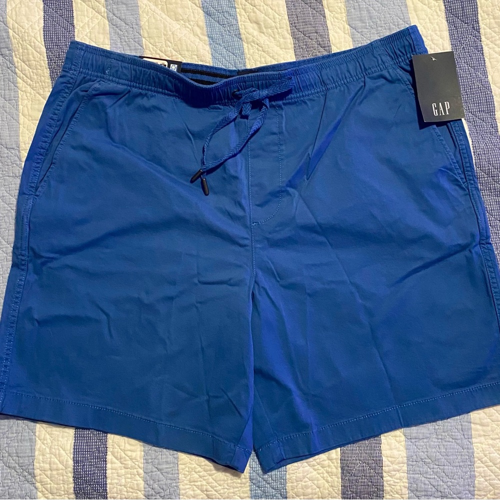 GAP Men's Vibrant Blue shorts